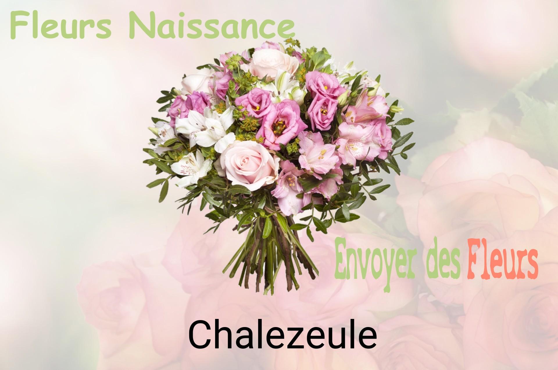 Bouquet de fleurs de naissance livré à Chalezeule